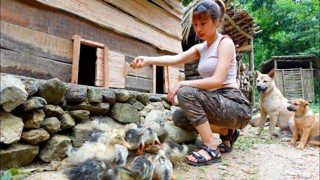 Off Grid Cabin In The Forest Complete Cabins For Chickens And Ducks