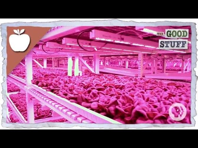 Are Vertical Farms The Future Of Agriculture?