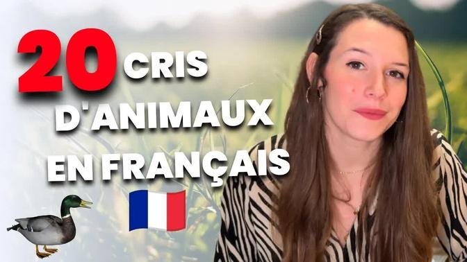 20 cris d'animaux en français 🦁🐸