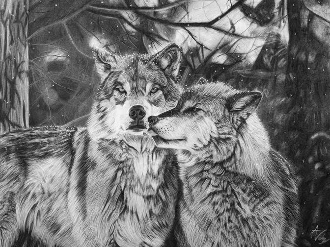 Wolves Charcoal Time lapse - 10 Hours