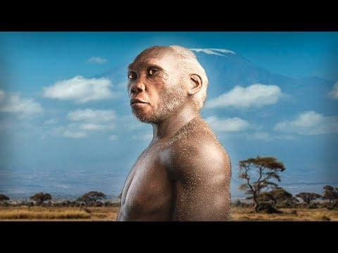 Homo Habilis - Ancient Human