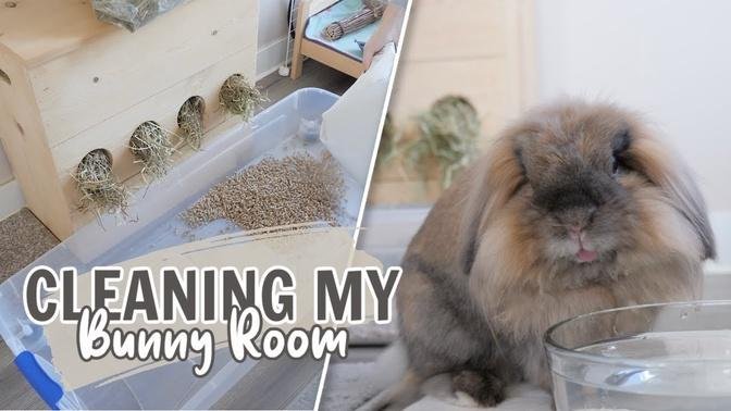 Cleaning my Bunny Room 🐰.