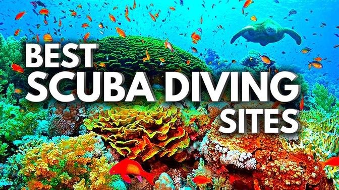 10 BEST Scuba Diving CARIBBEAN Destinations 2023 | Traveling Guide