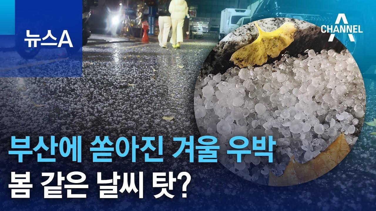 부산에 쏟아진 겨울 우박…봄 같은 날씨 탓? | 뉴스A