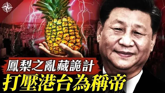 中國禁台灣鳳梨，暗藏統戰三部曲｜港府起訴47民主派人士，為助黨魁「稱霸稱帝」？（2021.3.2）｜世界的十字路口 唐浩