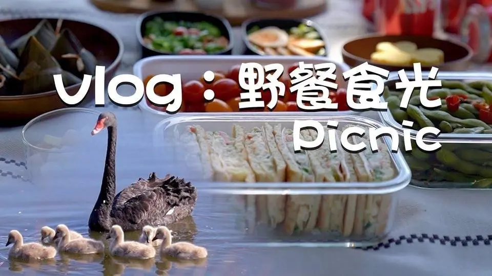 #mealtimetogether 【VLOG 郊游食光】你見過黑天鵝寶寶嗎？一起來個美美的端午郊游 最重要的是吃爽爽- 綠豆糕、冰糖草莓、溏心蛋、奇亞籽布丁、泡菜、蓑衣黄瓜、卤毛豆