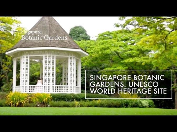Singapore Botanic Gardens: UNESCO World Heritage Site