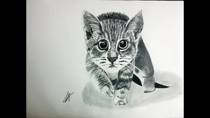 Cómo dibujar un gato realista paso a paso explicado MUY FÁCIL