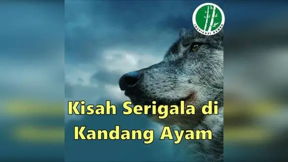 Kisah Serigala di Kandang Ayam
