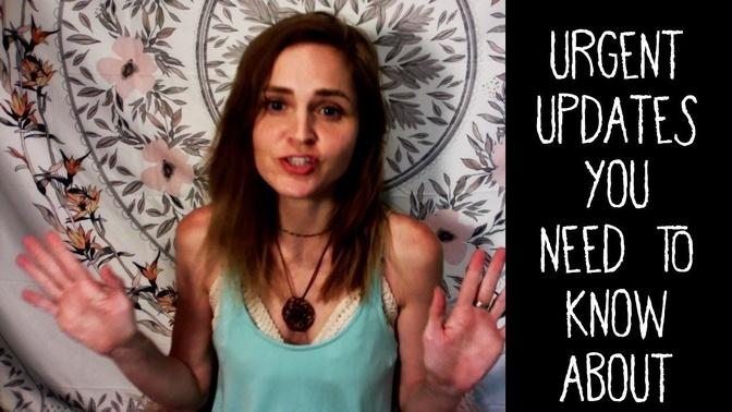 THE PLANT-BASED BUNDLE & OTHER URGENT UPDATES YOU NEED TO KNOW ABOUT AS A VEGAN